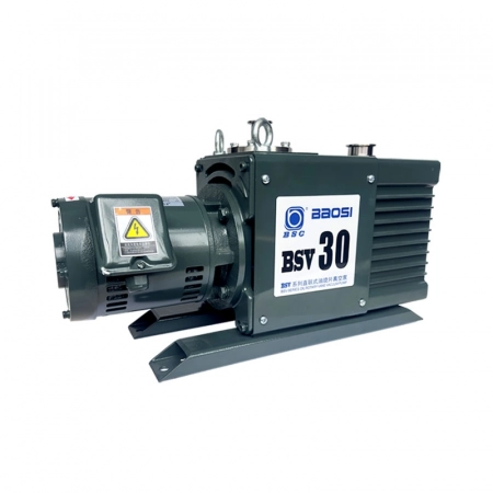 BSV vacuum pump